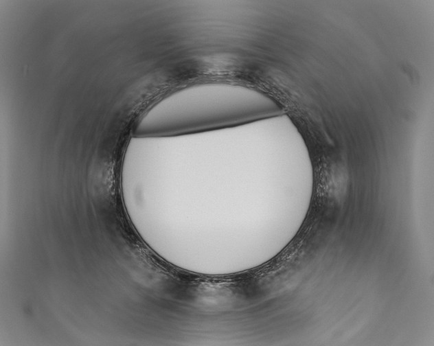 X0000110690560200907101151