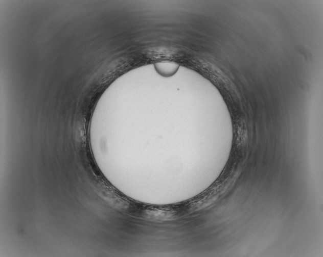 X0000110690561200907101151