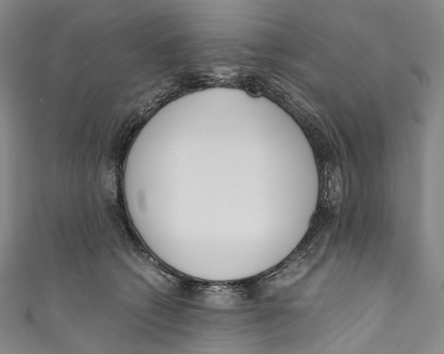 X0000110690562200907101151