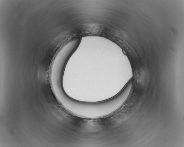 X0000110690564200907101151