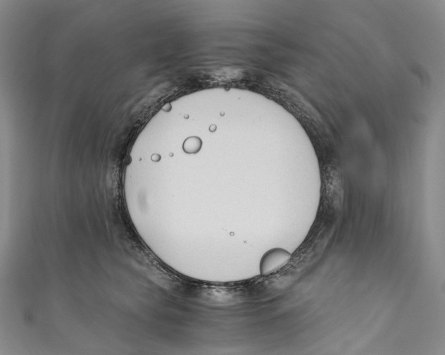 X0000110690565200907101151