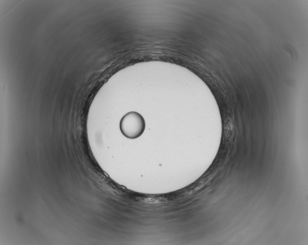 X0000110690566200907101151