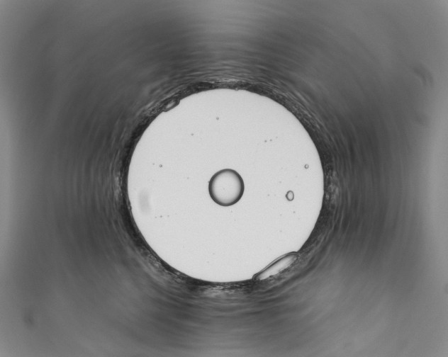 X0000110690568200907101151