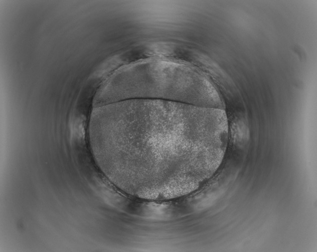 X0000110690570200907101151