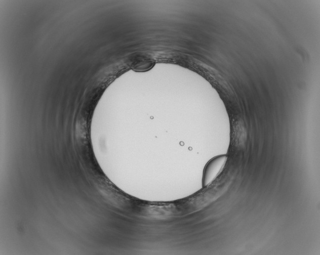 X0000110690571200907101151