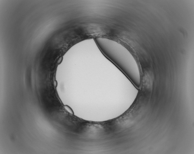 X0000110690572200907101151