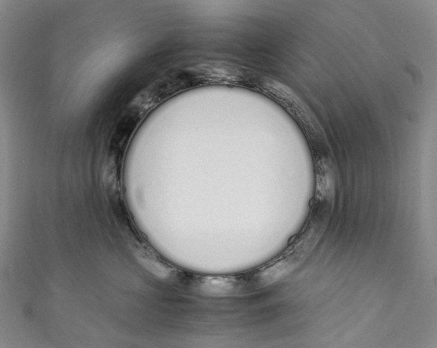 X0000110690573200907101151