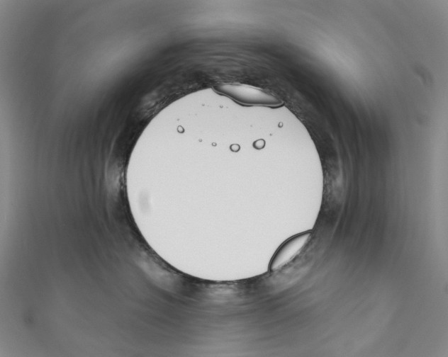 X0000110690574200907101151