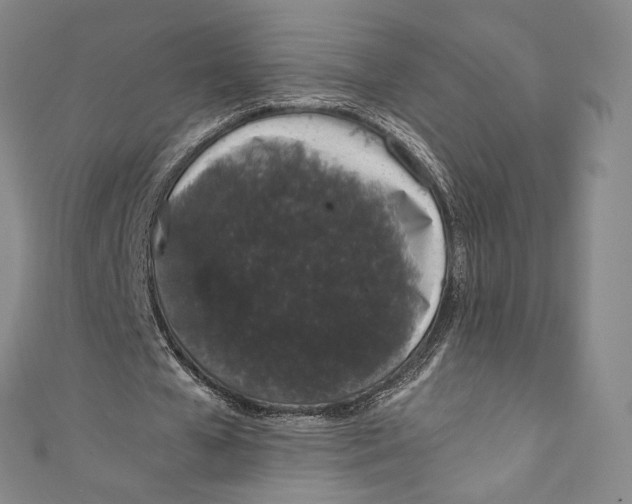 X0000110690577200907101150