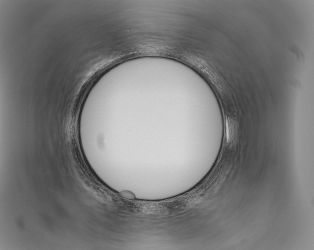 X0000110690579200907101150