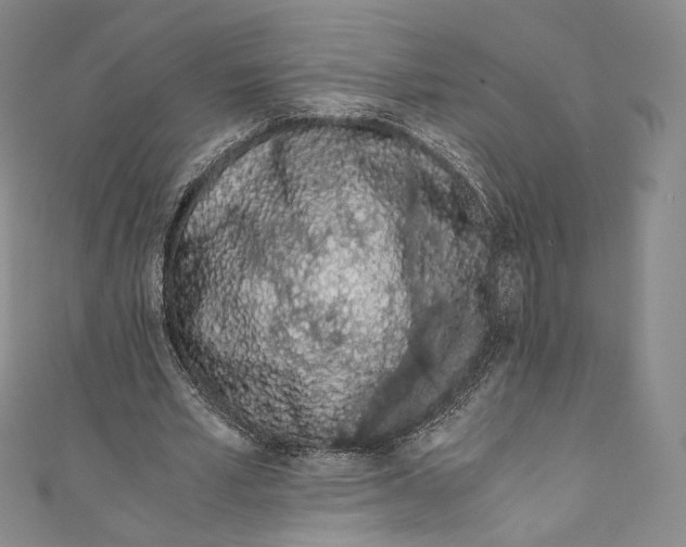 X0000110690581200907101150