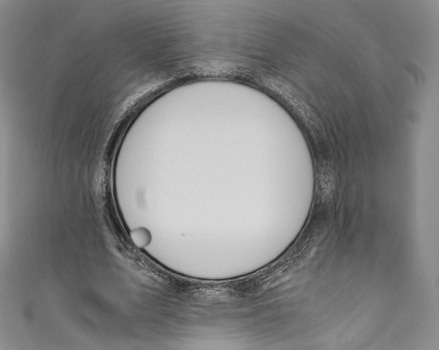 X0000110690583200907101150