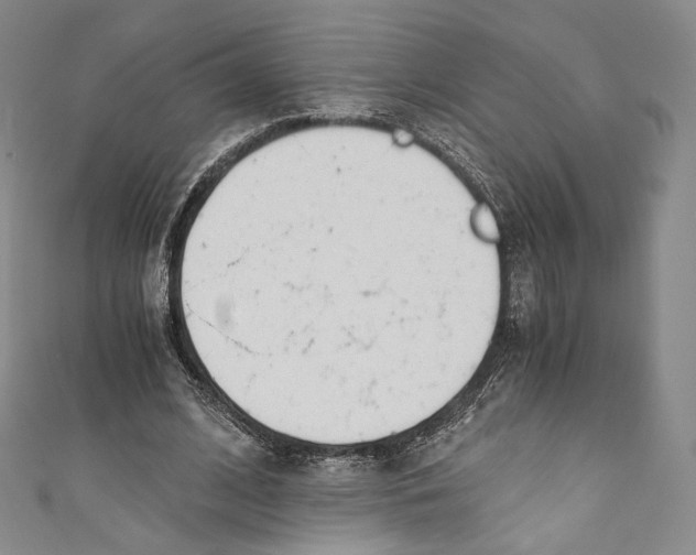 X0000110690584200907101150