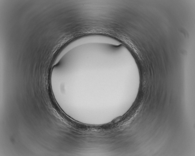 X0000110690585200907101150