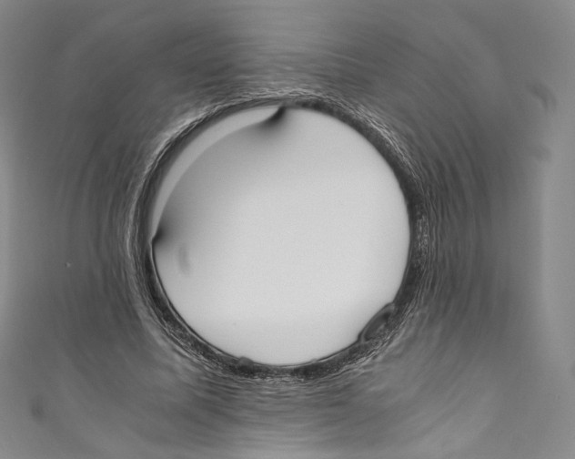 X0000110690587200907101150