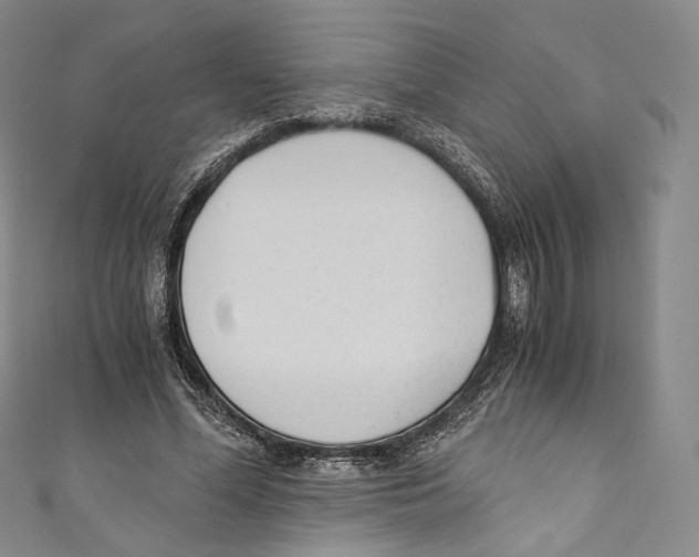 X0000110690588200907101150