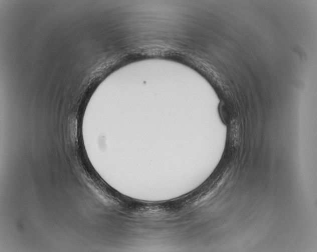 X0000110690589200907101150