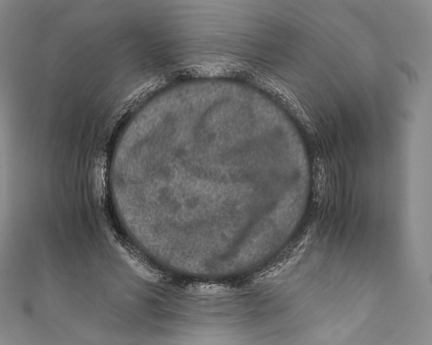 X0000110690590200907101150