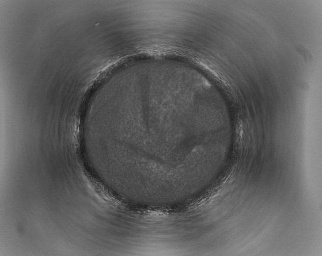 X0000110690592200907101150