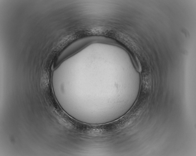 X0000110690593200907101150