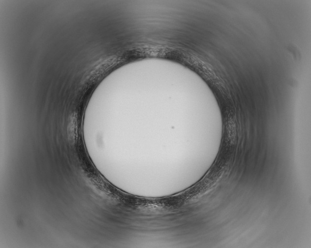 X0000110690594200907101150