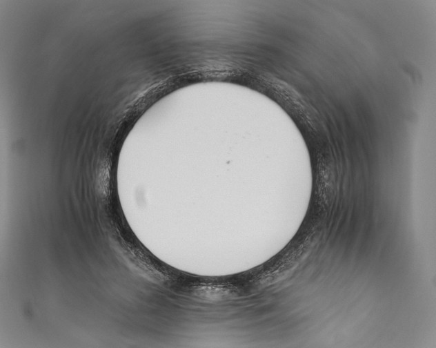 X0000110690596200907101150