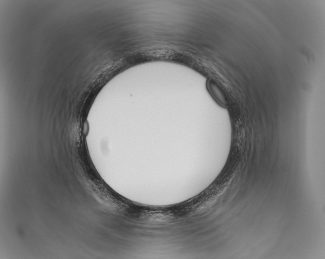 X0000110690597200907101150