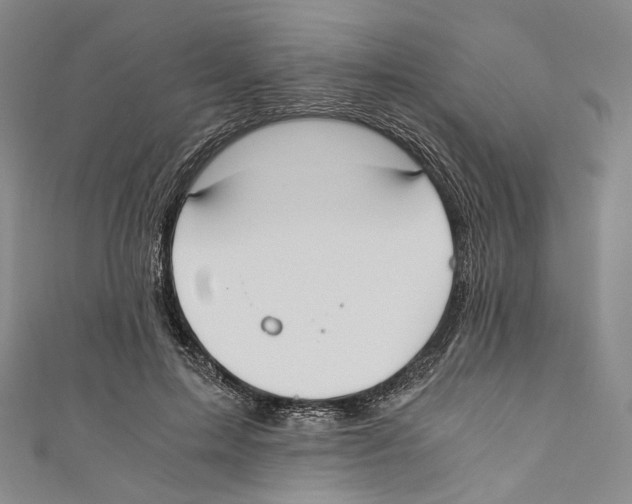 X0000110690599200907101150