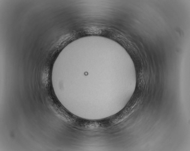 X0000110690600200907101150