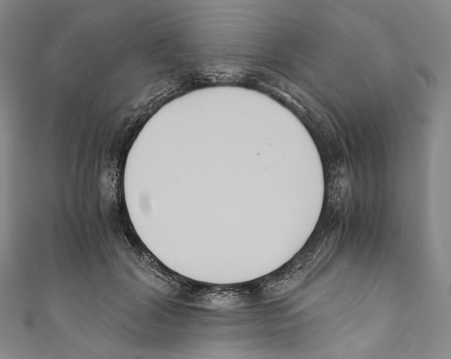 X0000110690604200907101150