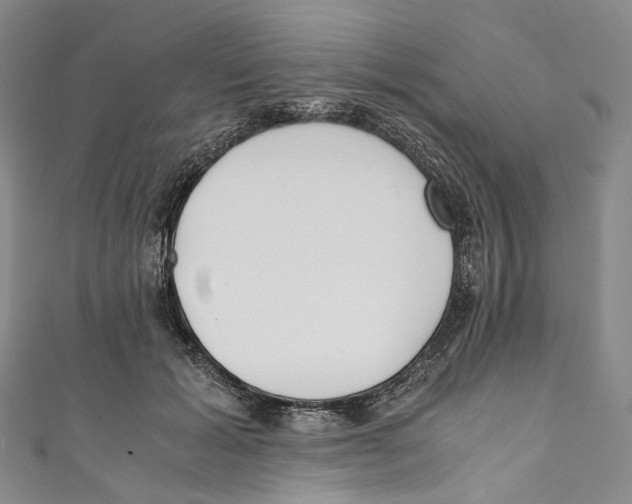 X0000110690605200907101150