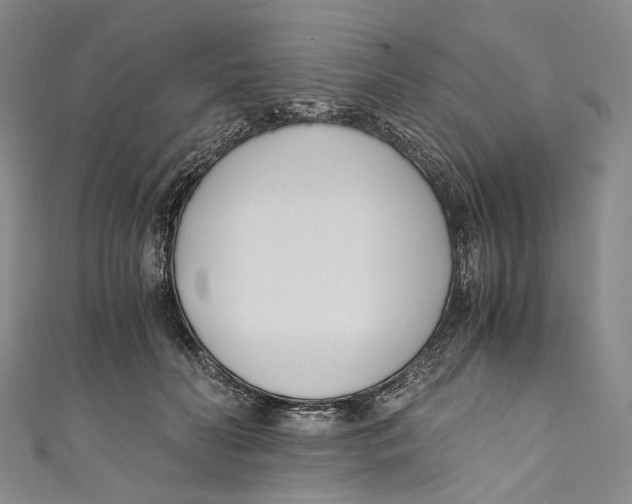 X0000110690606200907101150