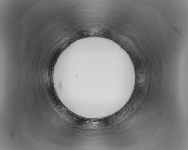 X0000110690607200907101150