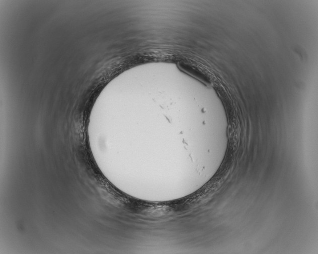 X0000110690609200907101150