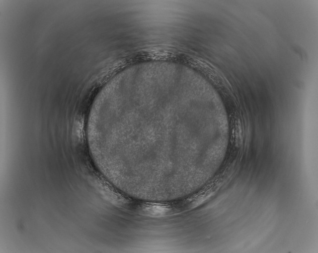 X0000110690610200907101150