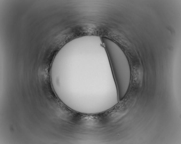 X0000110690611200907101150