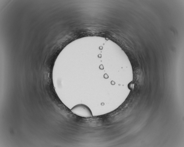 X0000110690615200907101150