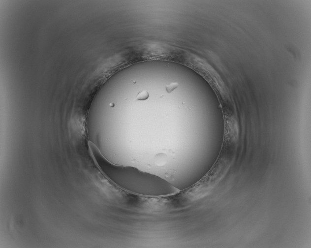 X0000110690621200907101150