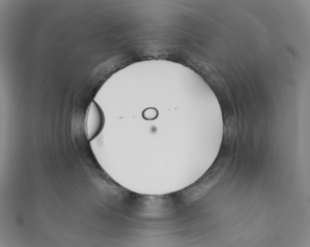 X0000110690623200907101150