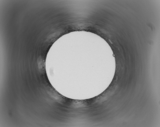 X0000110690624200907101150