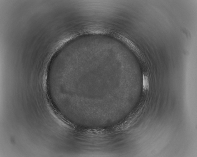 X0000110690627200907101149