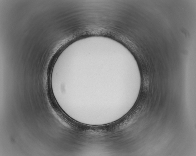 X0000110690630200907101149