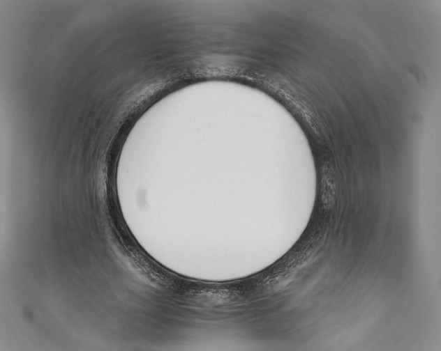 X0000110690631200907101149