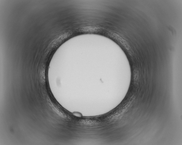 X0000110690633200907101149