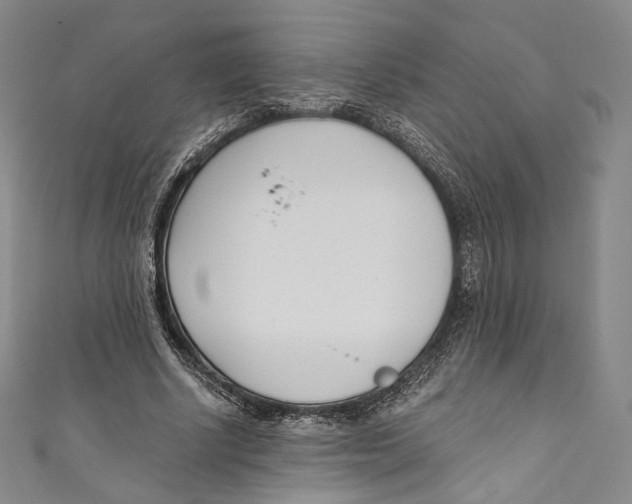 X0000110690634200907101149