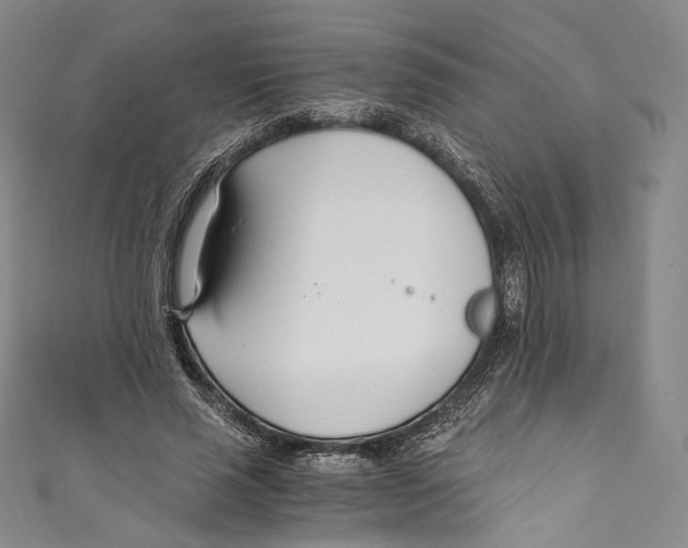 X0000110690637200907101149