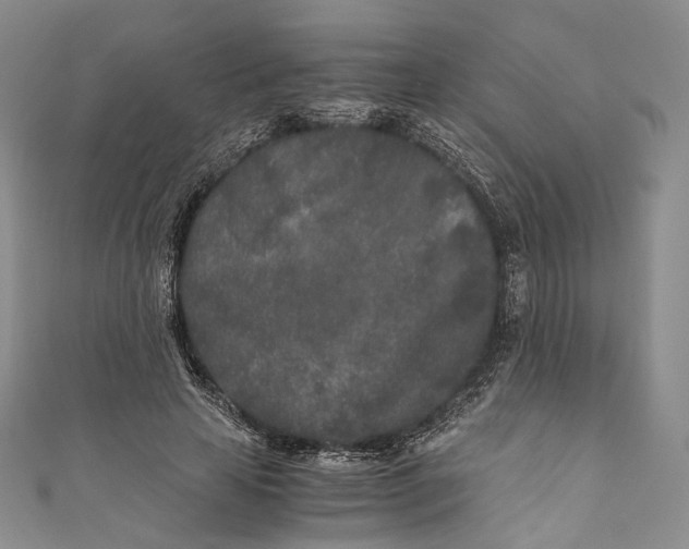 X0000110690641200907101149