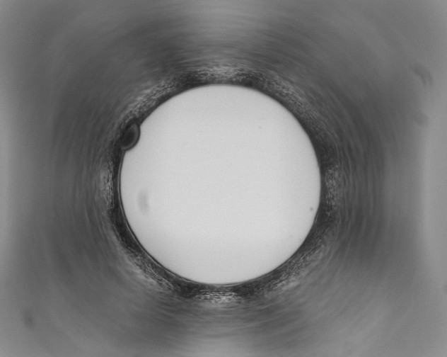 X0000110690642200907101149