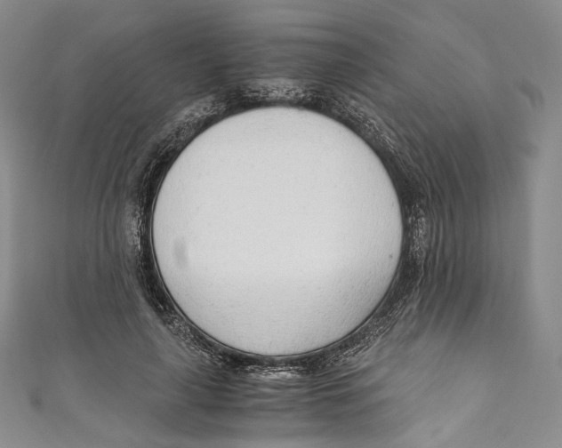 X0000110690643200907101149