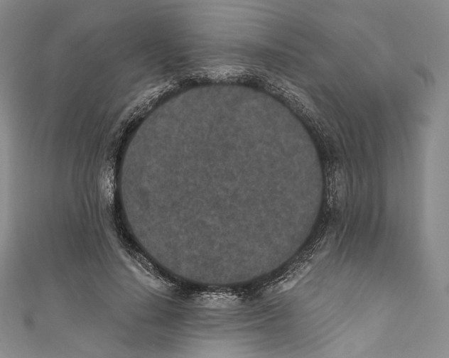 X0000110690644200907101149